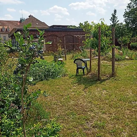 Lausitzer Auszeit شقة Lauta