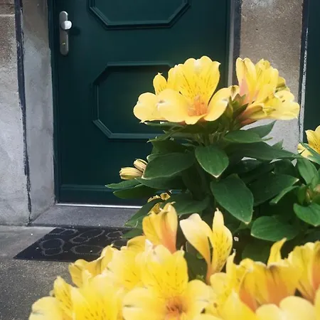 Lausitzer Auszeit Lauta